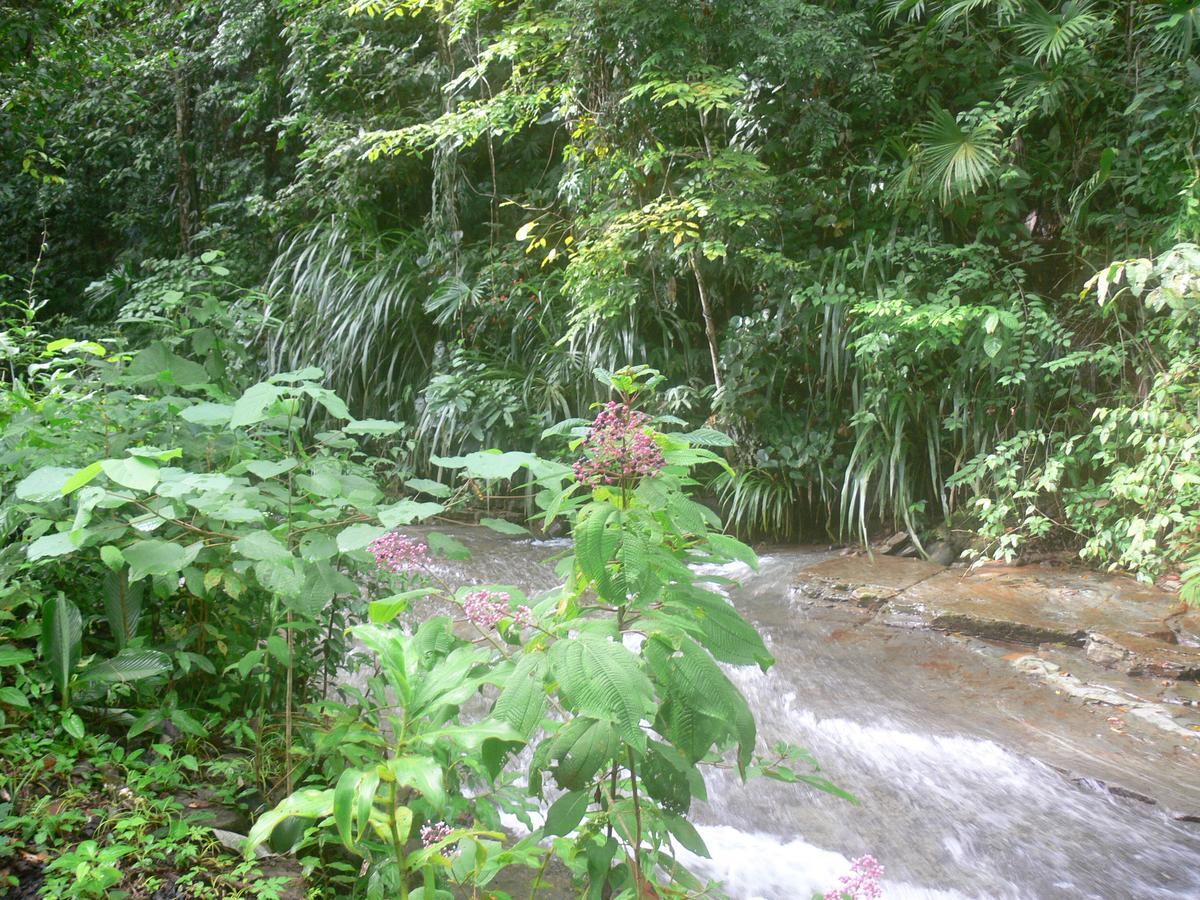 Waterfall Villas Baru Exterior foto